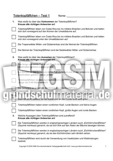 Totenkopfäffchen-Test-Seite-1.pdf